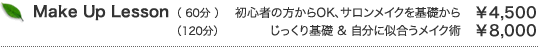 Make Up Lesson(60��or100��)